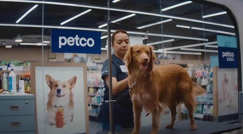 PETCO PET MYSTERIES MAKE OUT